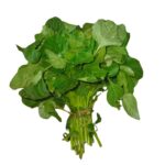 Managu – per bunch