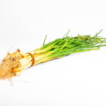 Spring onions – Per bunch