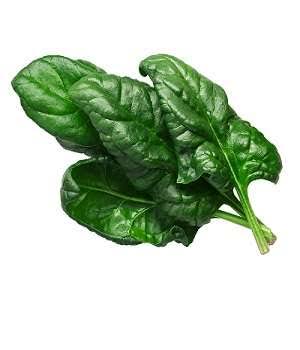 Baby Spinach – Per Bunch