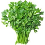 Dhania (Coriander) – per bunch