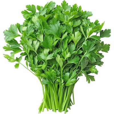 Dhania (Coriander) – per bunch